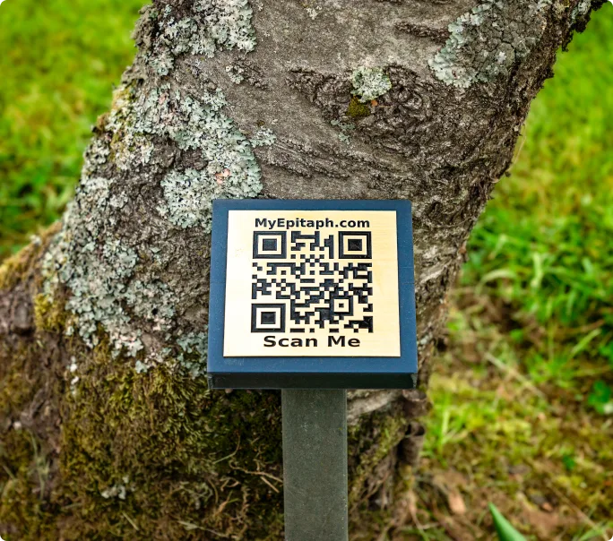 QR plaque on a tree stump memorial